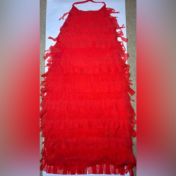 ZARA NWT FRINGED TULLE HALTER DRESS Medium - Picture 2 of 2